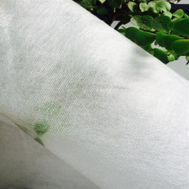 30gsm Larut Air Non Woven Fabric / Melarutkan Bordir Kain Untuk Renda Tekstil Backing